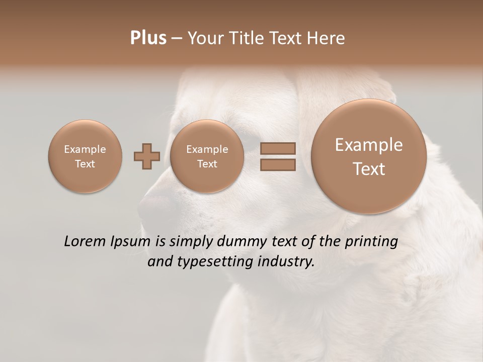 Animal Happy Face PowerPoint Template