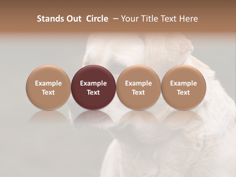 Animal Happy Face PowerPoint Template