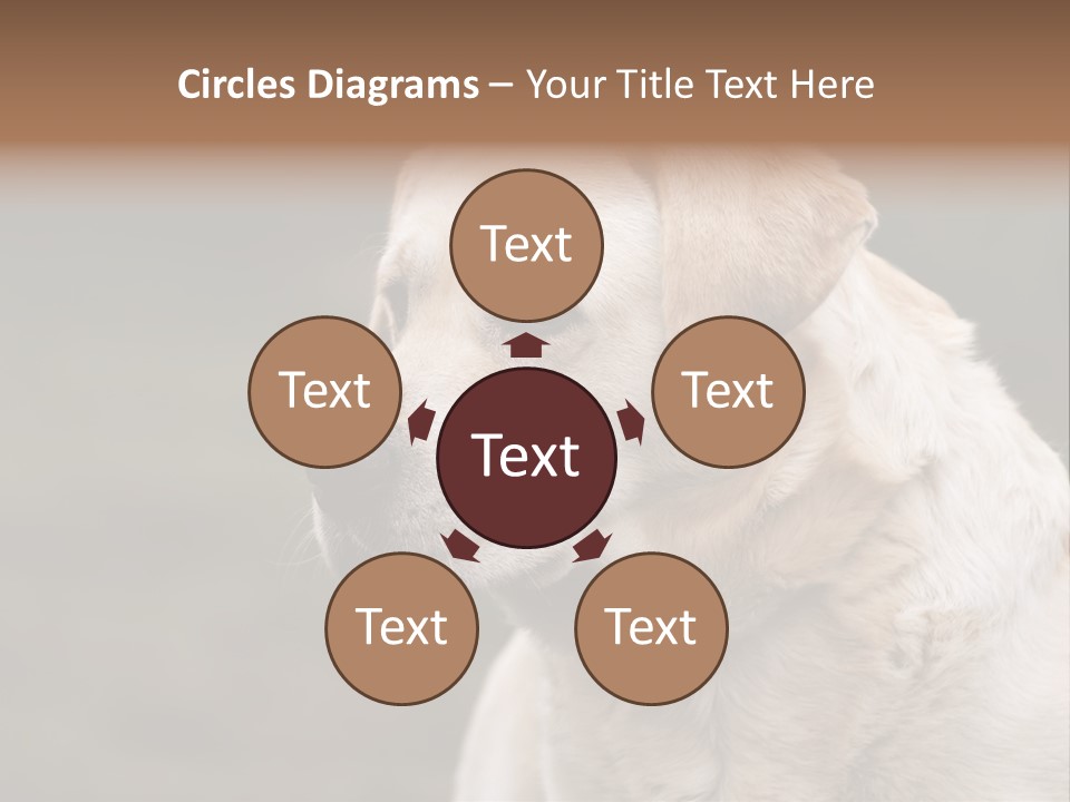 Animal Happy Face PowerPoint Template