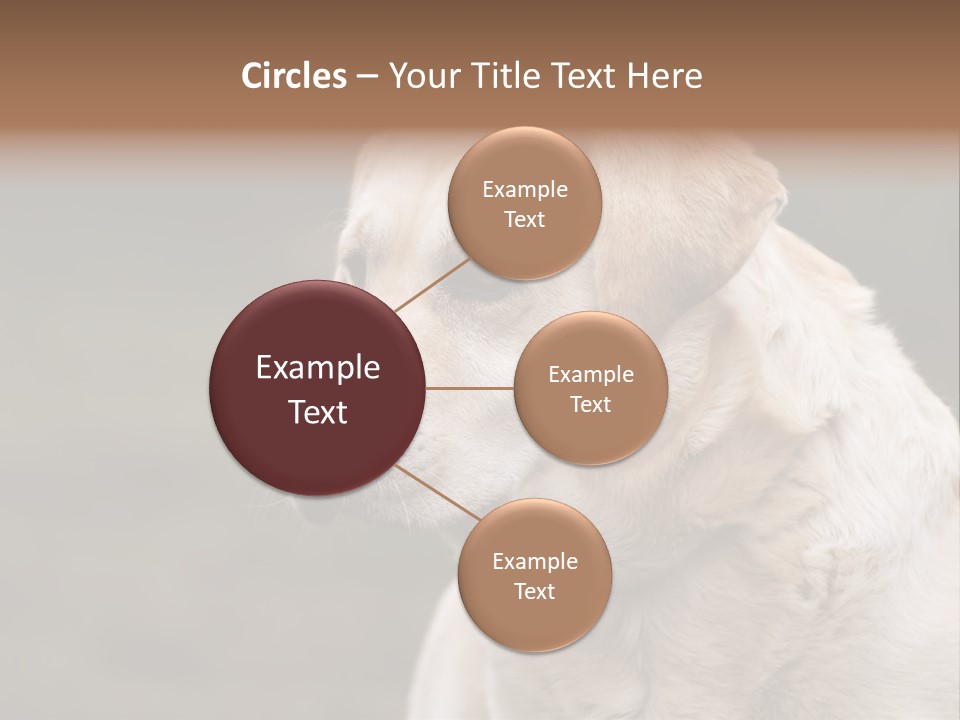 Animal Happy Face PowerPoint Template