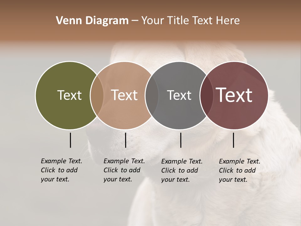 Animal Happy Face PowerPoint Template