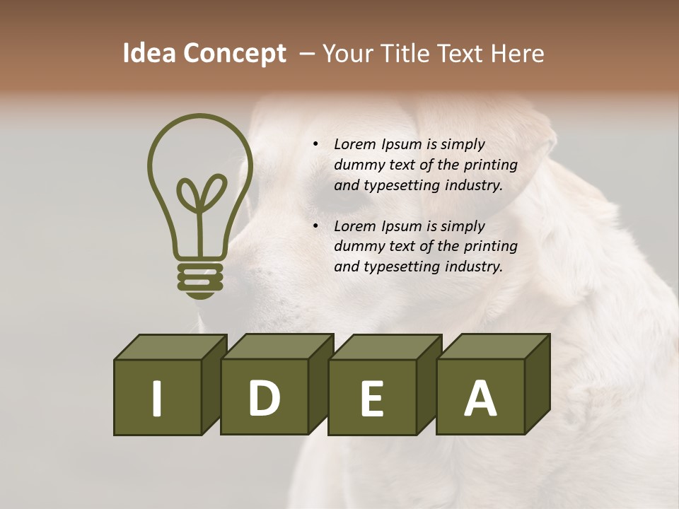 Animal Happy Face PowerPoint Template