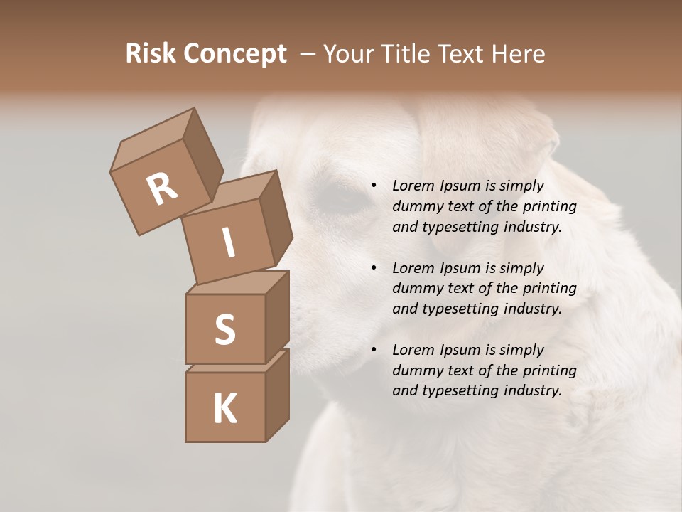 Animal Happy Face PowerPoint Template