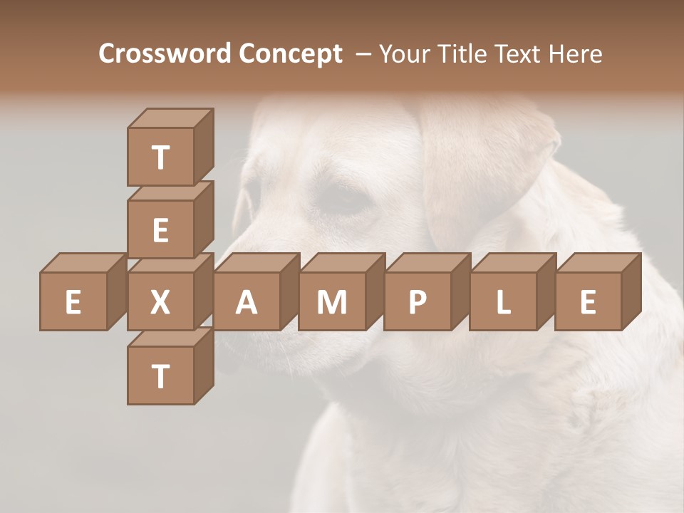 Animal Happy Face PowerPoint Template