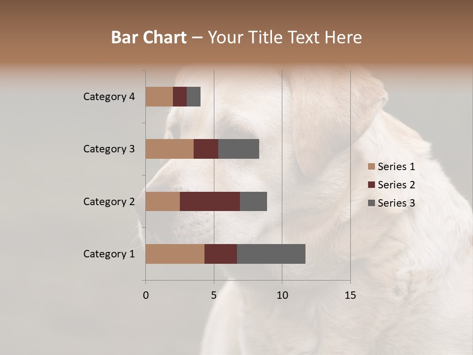 Animal Happy Face PowerPoint Template
