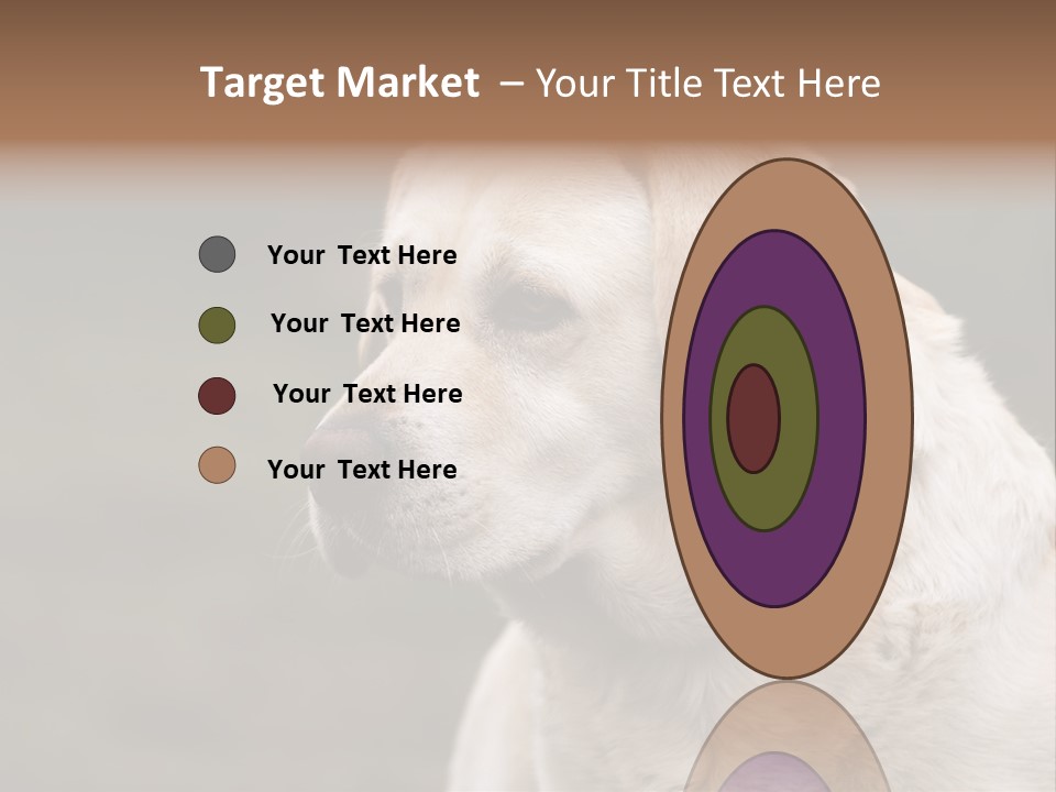 Animal Happy Face PowerPoint Template