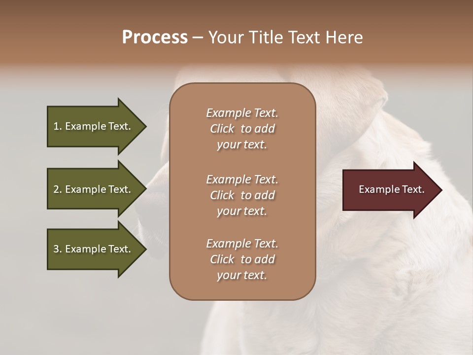 Animal Happy Face PowerPoint Template