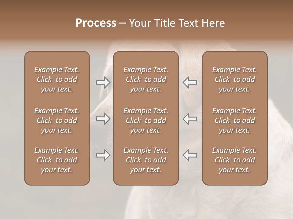 Animal Happy Face PowerPoint Template