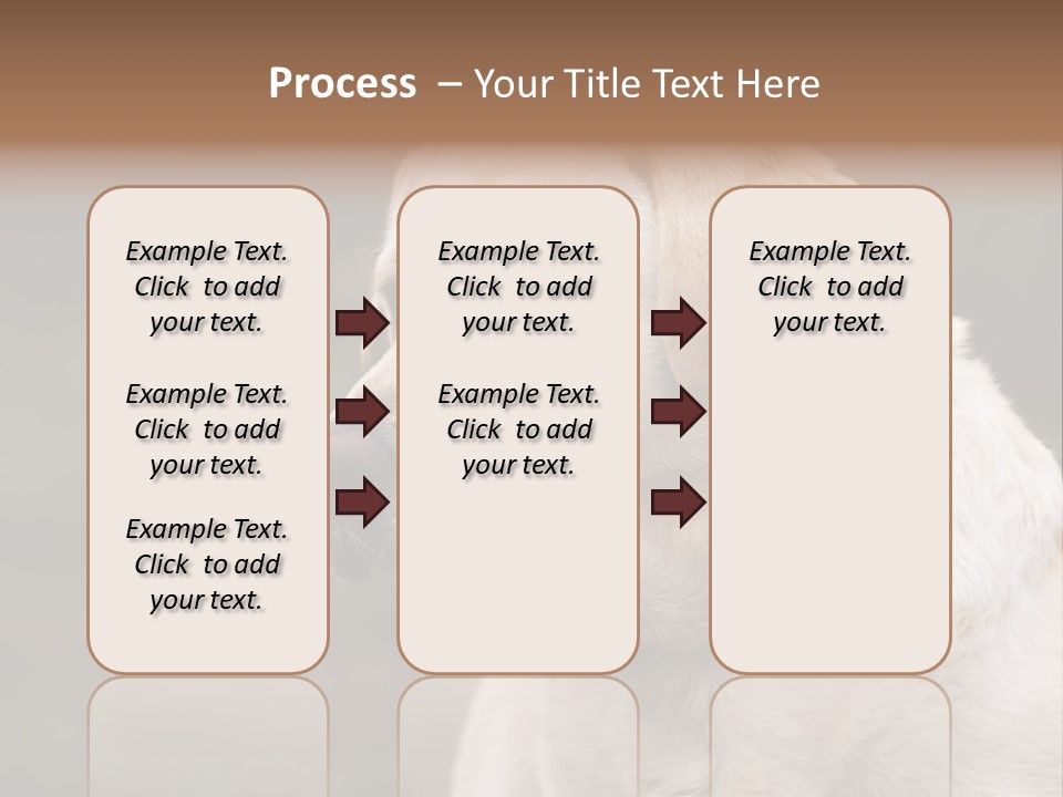 Animal Happy Face PowerPoint Template