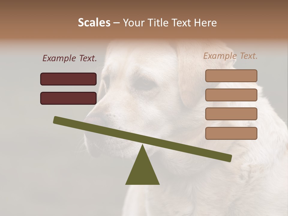 Animal Happy Face PowerPoint Template