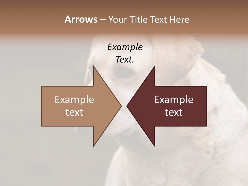 Animal Happy Face PowerPoint Template