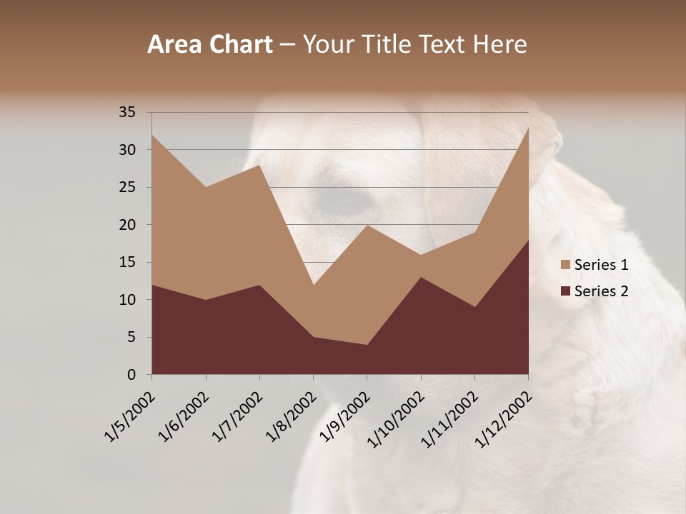 Animal Happy Face PowerPoint Template