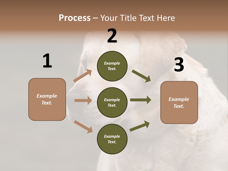 Animal Happy Face PowerPoint Template