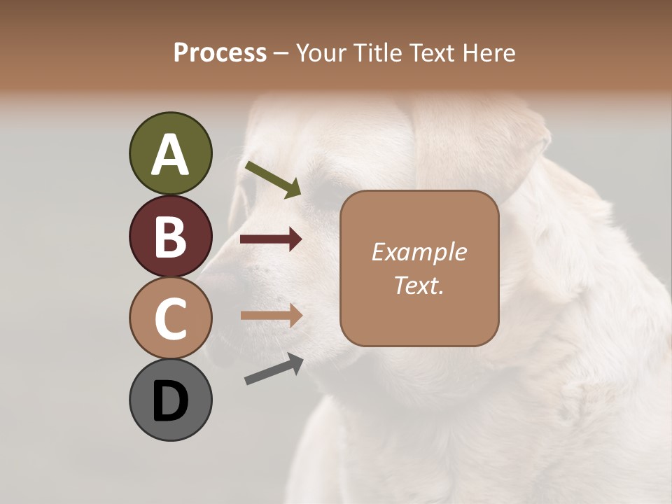 Animal Happy Face PowerPoint Template