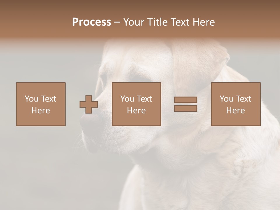 Animal Happy Face PowerPoint Template