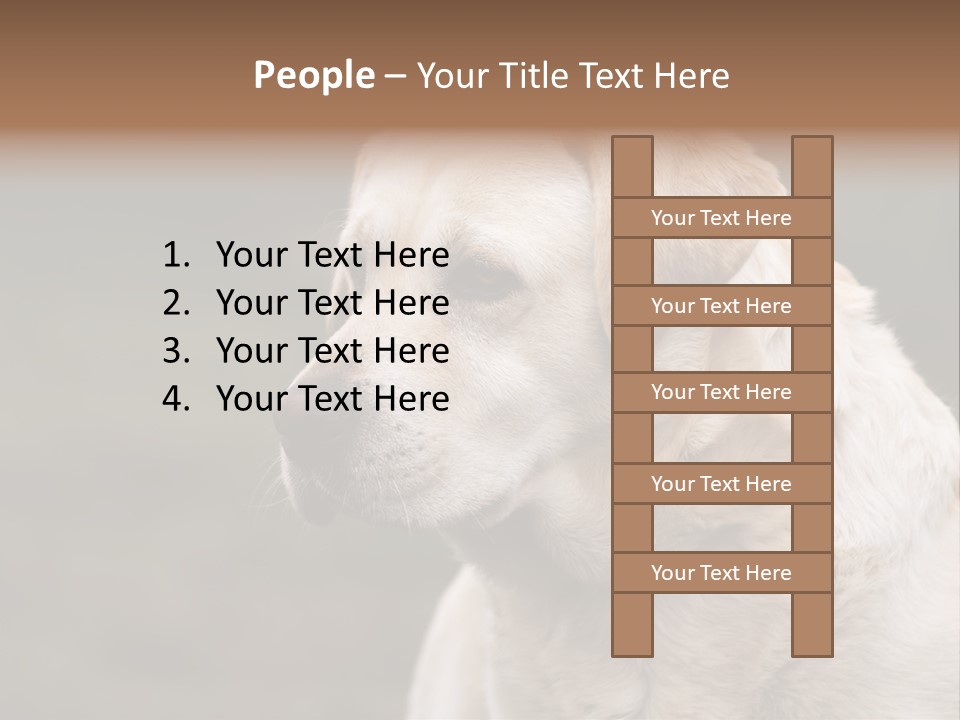 Animal Happy Face PowerPoint Template