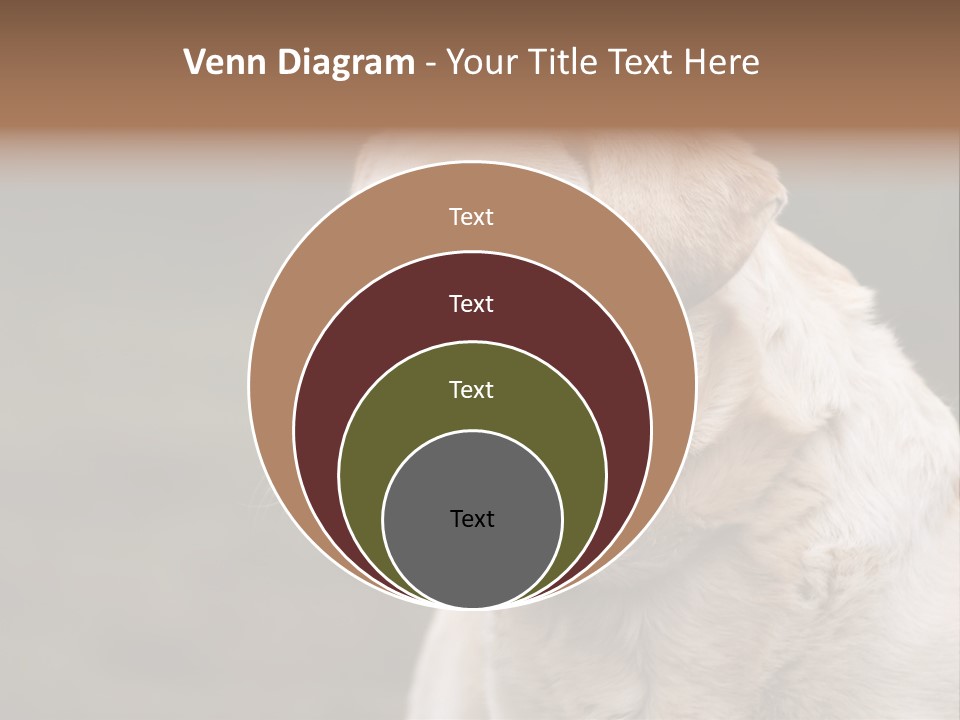 Animal Happy Face PowerPoint Template