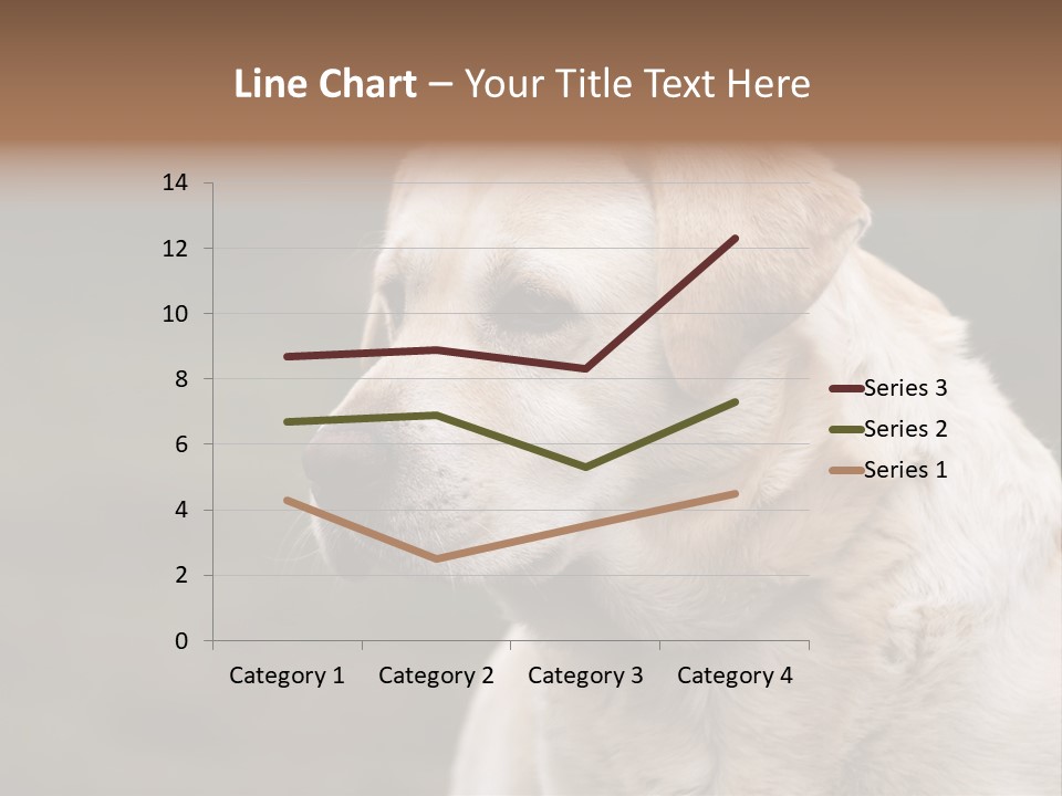 Animal Happy Face PowerPoint Template