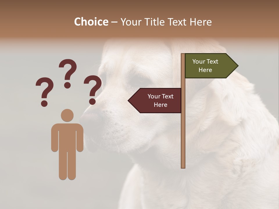 Animal Happy Face PowerPoint Template