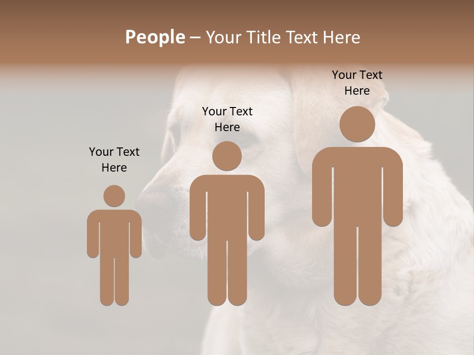 Animal Happy Face PowerPoint Template