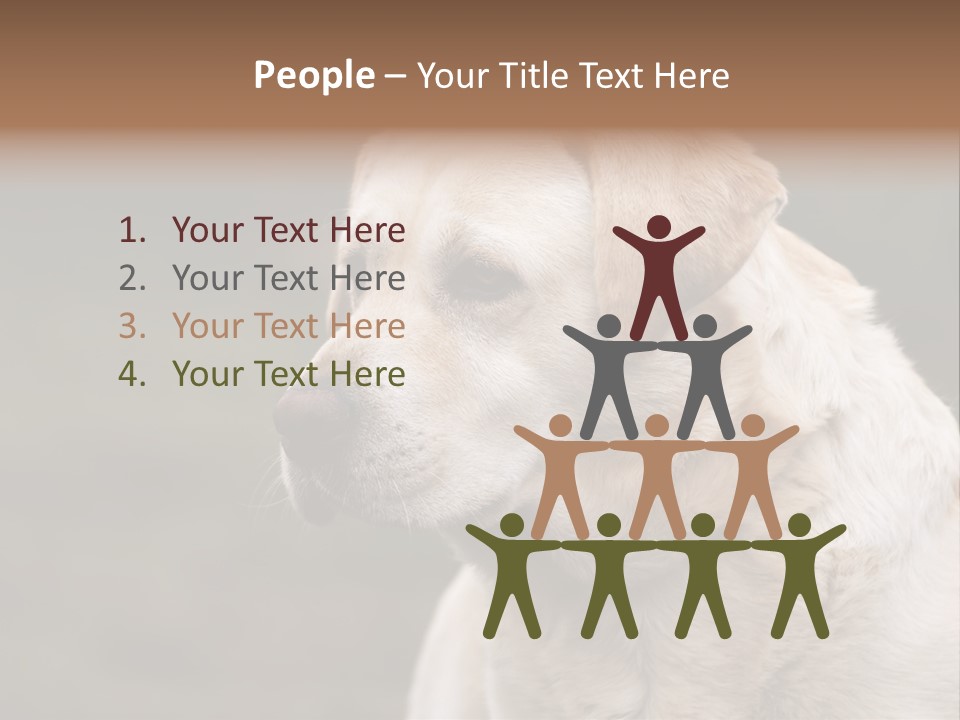 Animal Happy Face PowerPoint Template