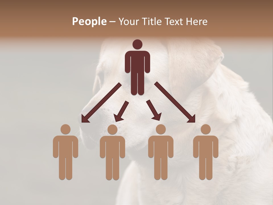 Animal Happy Face PowerPoint Template