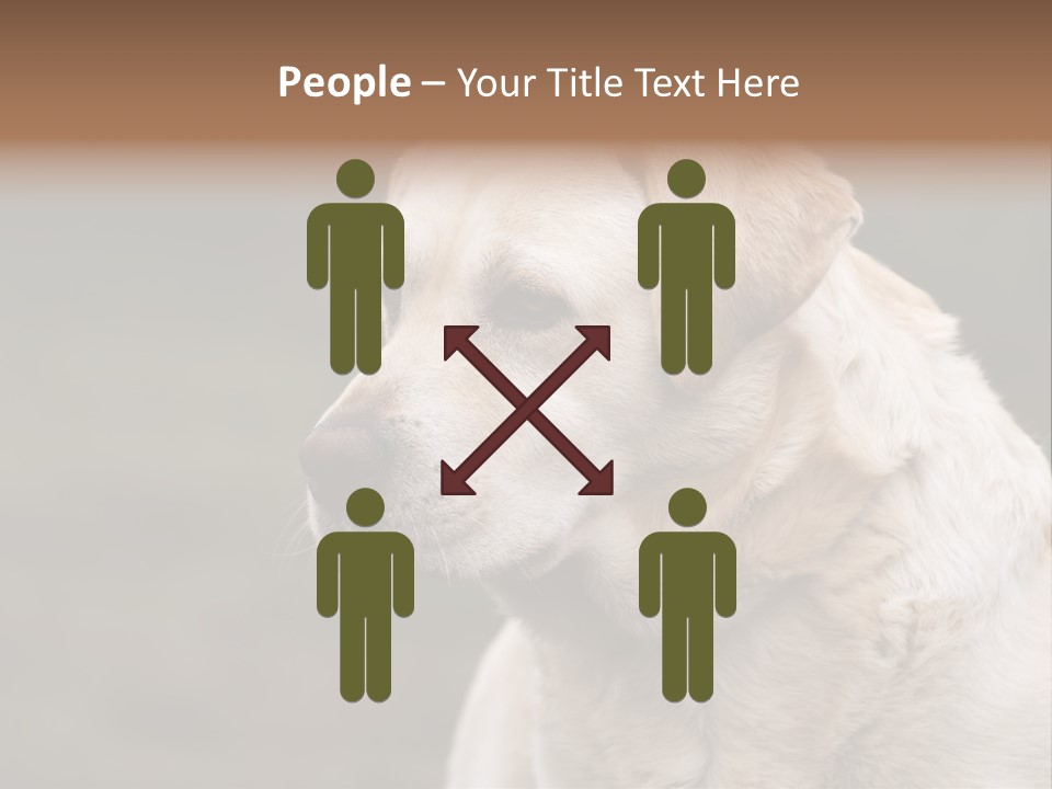 Animal Happy Face PowerPoint Template