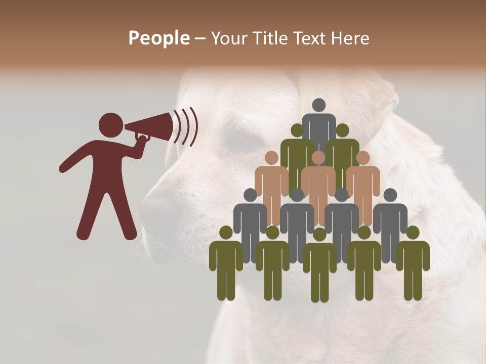 Animal Happy Face PowerPoint Template