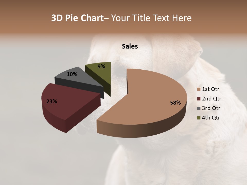 Animal Happy Face PowerPoint Template