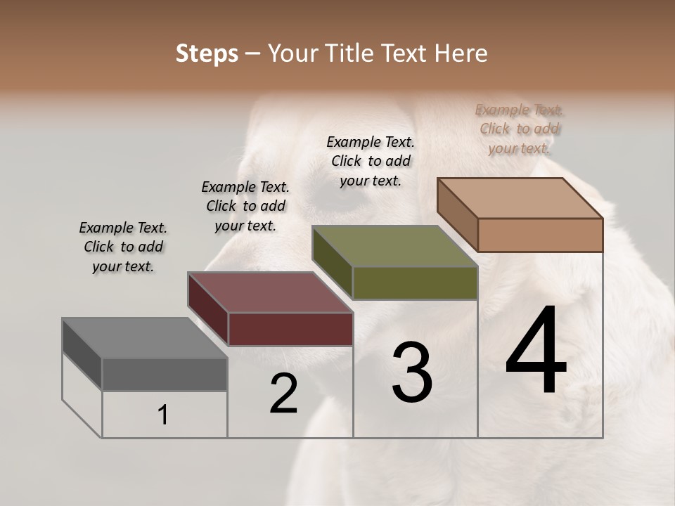 Animal Happy Face PowerPoint Template