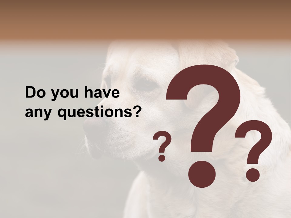 Animal Happy Face PowerPoint Template