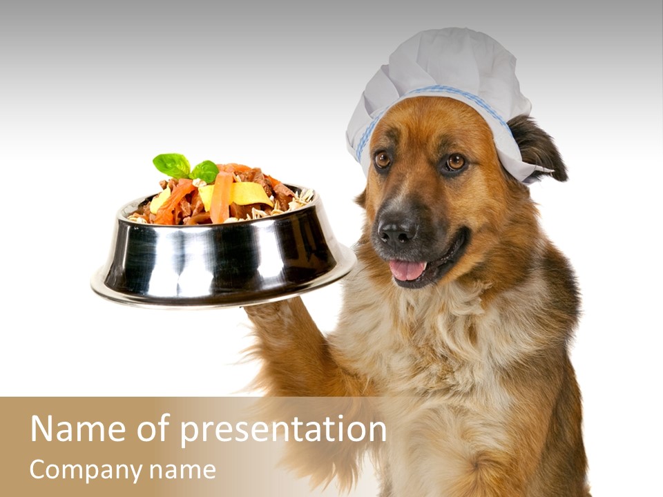 Crossbreed Gourmet Chef PowerPoint Template