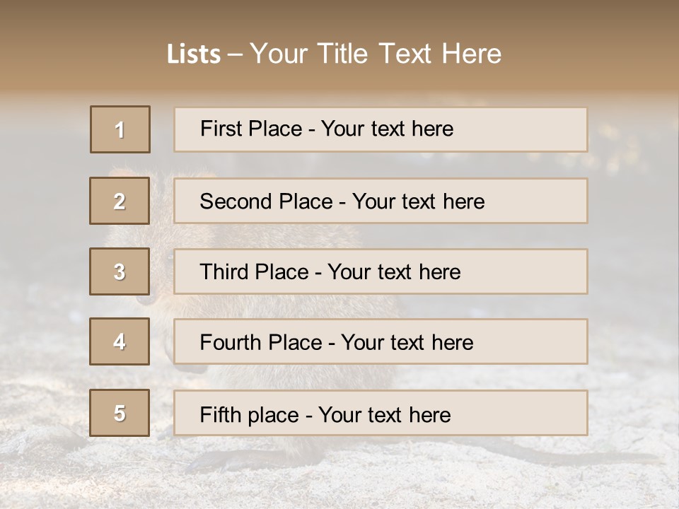 Setonix Brachyurus Small Western Australia PowerPoint Template