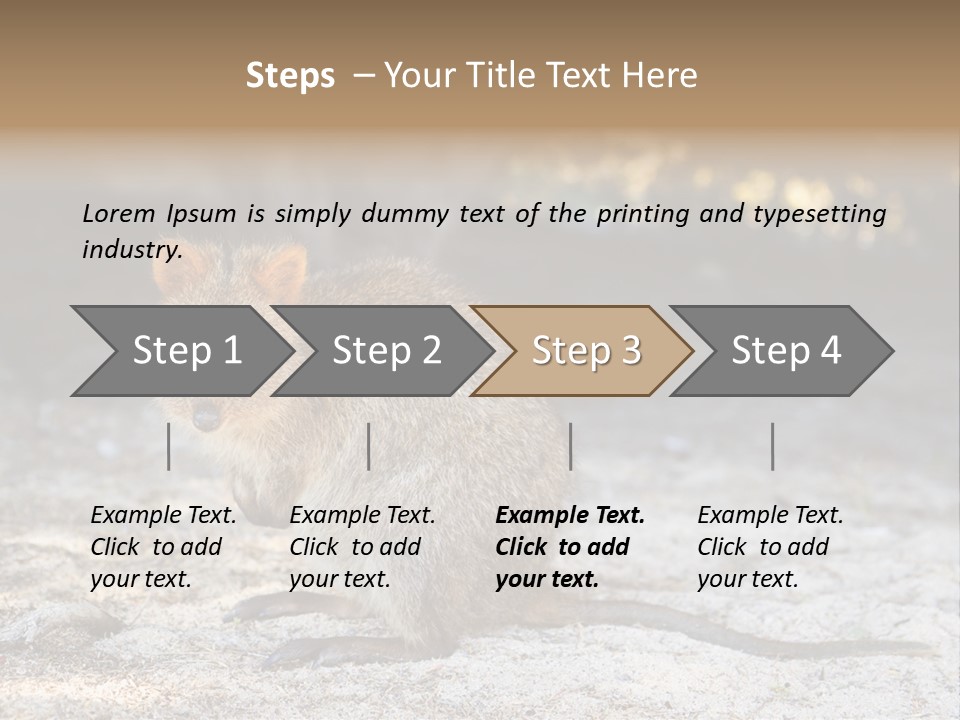 Setonix Brachyurus Small Western Australia PowerPoint Template