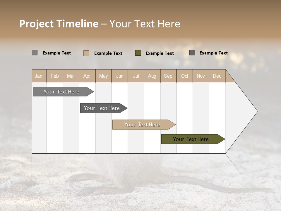 Setonix Brachyurus Small Western Australia PowerPoint Template