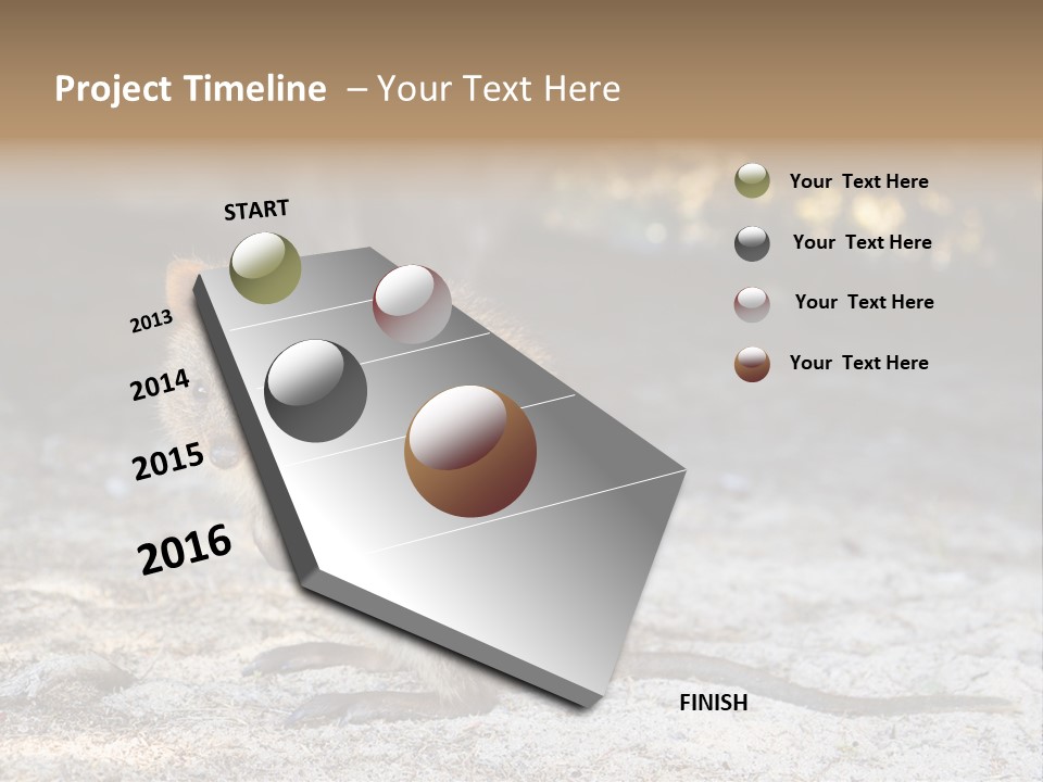 Setonix Brachyurus Small Western Australia PowerPoint Template