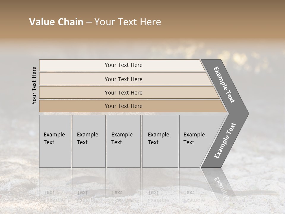 Setonix Brachyurus Small Western Australia PowerPoint Template