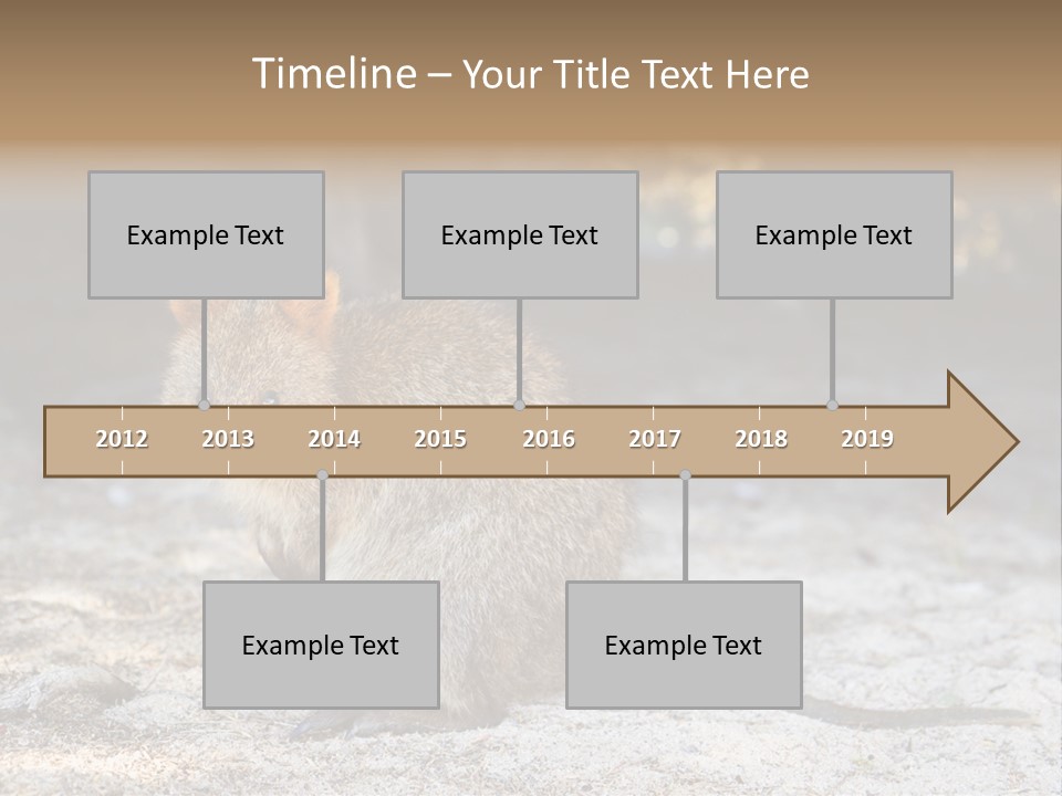 Setonix Brachyurus Small Western Australia PowerPoint Template