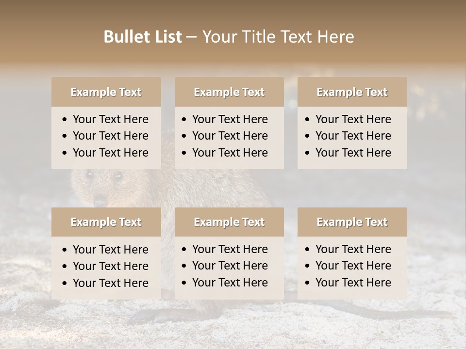 Setonix Brachyurus Small Western Australia PowerPoint Template