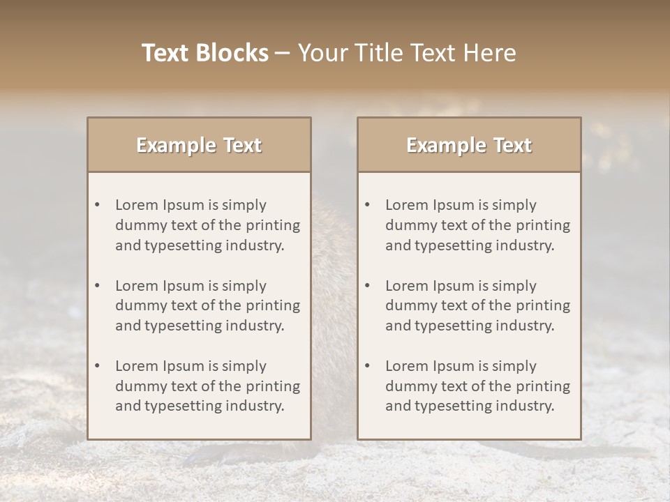 Setonix Brachyurus Small Western Australia PowerPoint Template