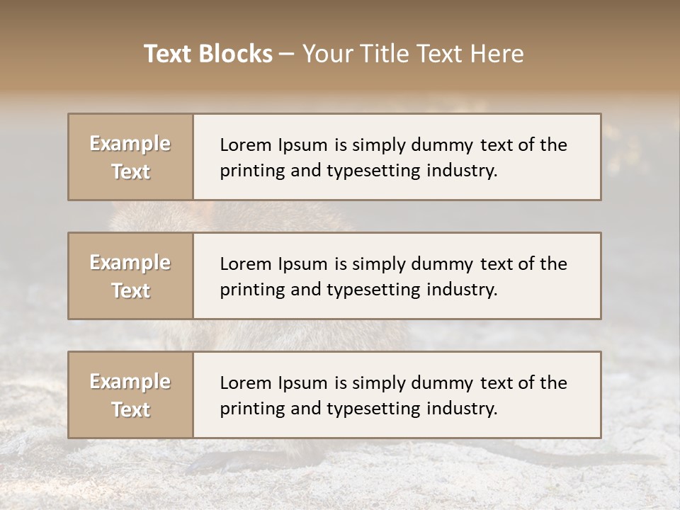 Setonix Brachyurus Small Western Australia PowerPoint Template