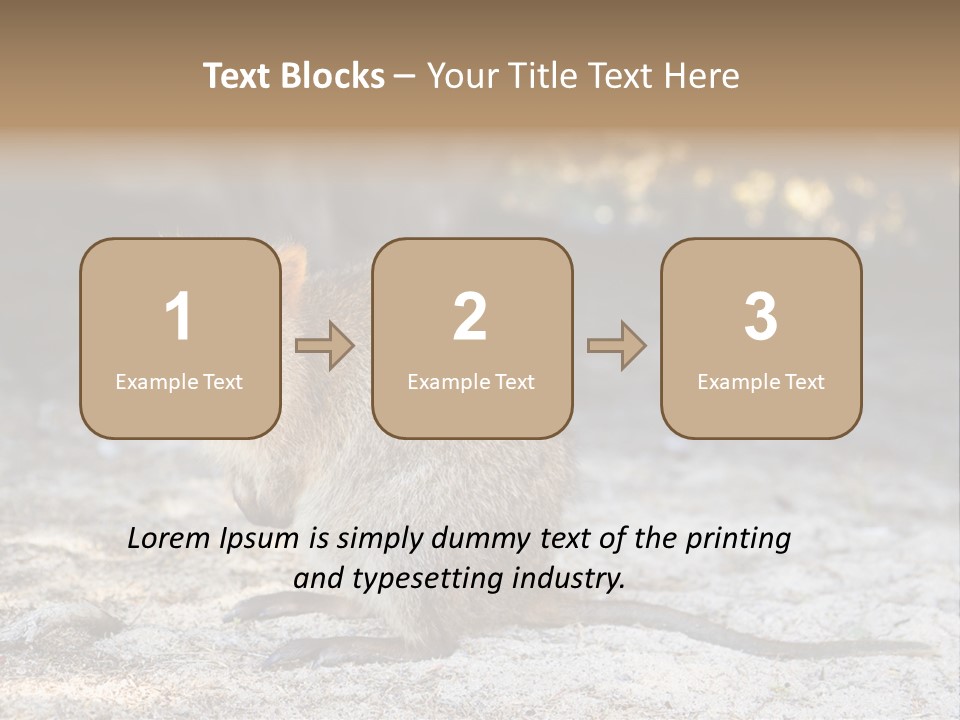 Setonix Brachyurus Small Western Australia PowerPoint Template