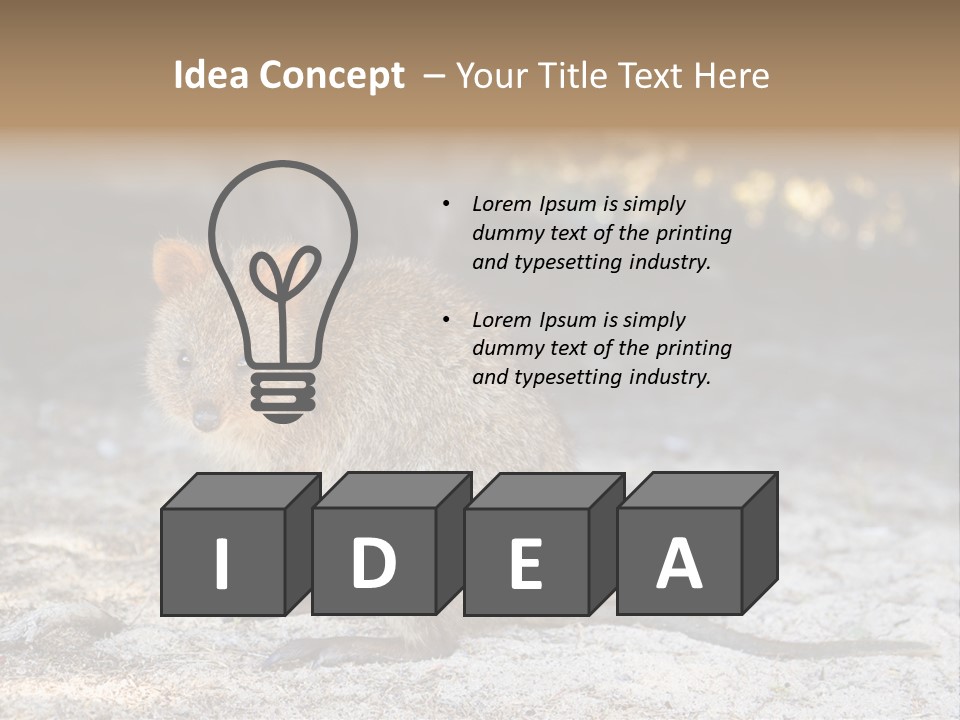 Setonix Brachyurus Small Western Australia PowerPoint Template