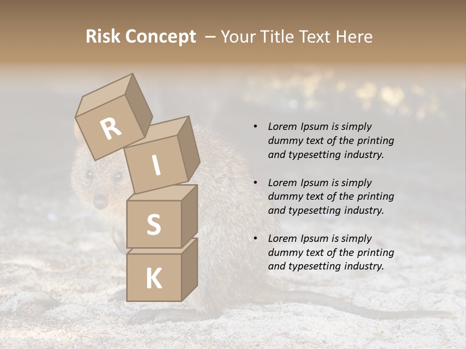 Setonix Brachyurus Small Western Australia PowerPoint Template