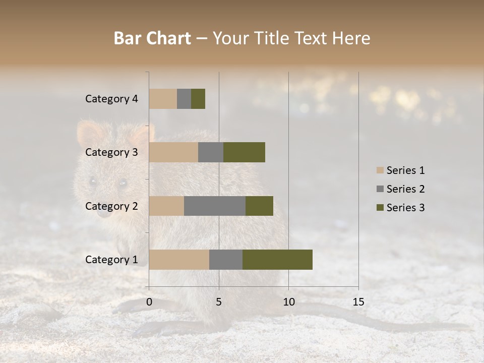 Setonix Brachyurus Small Western Australia PowerPoint Template