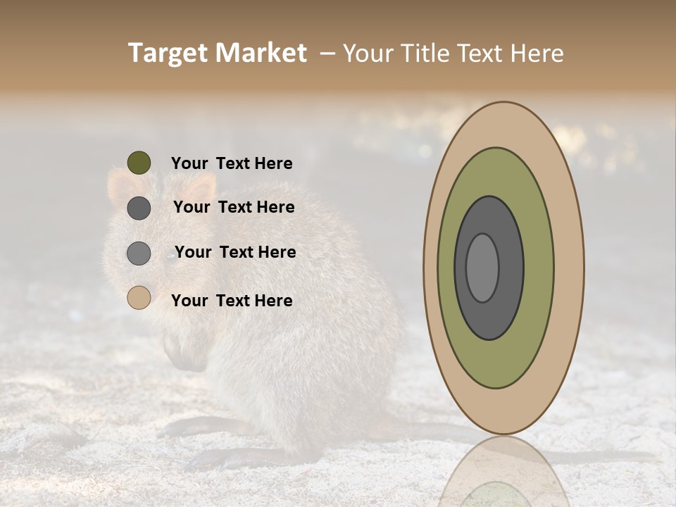 Setonix Brachyurus Small Western Australia PowerPoint Template