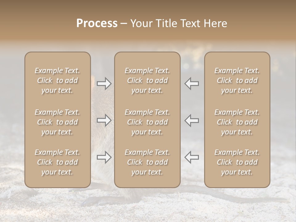 Setonix Brachyurus Small Western Australia PowerPoint Template