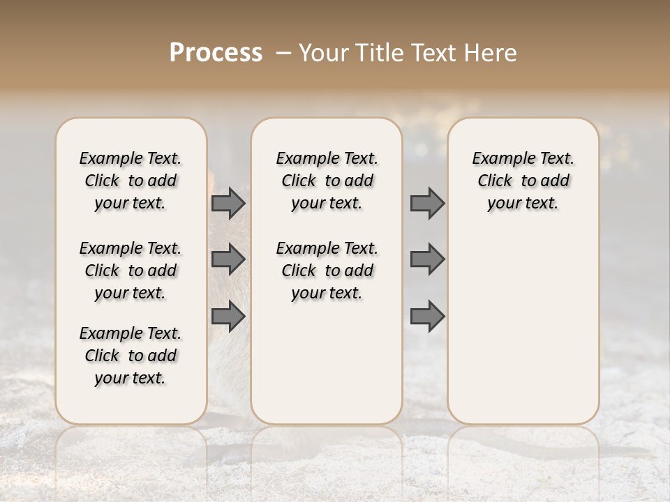 Setonix Brachyurus Small Western Australia PowerPoint Template