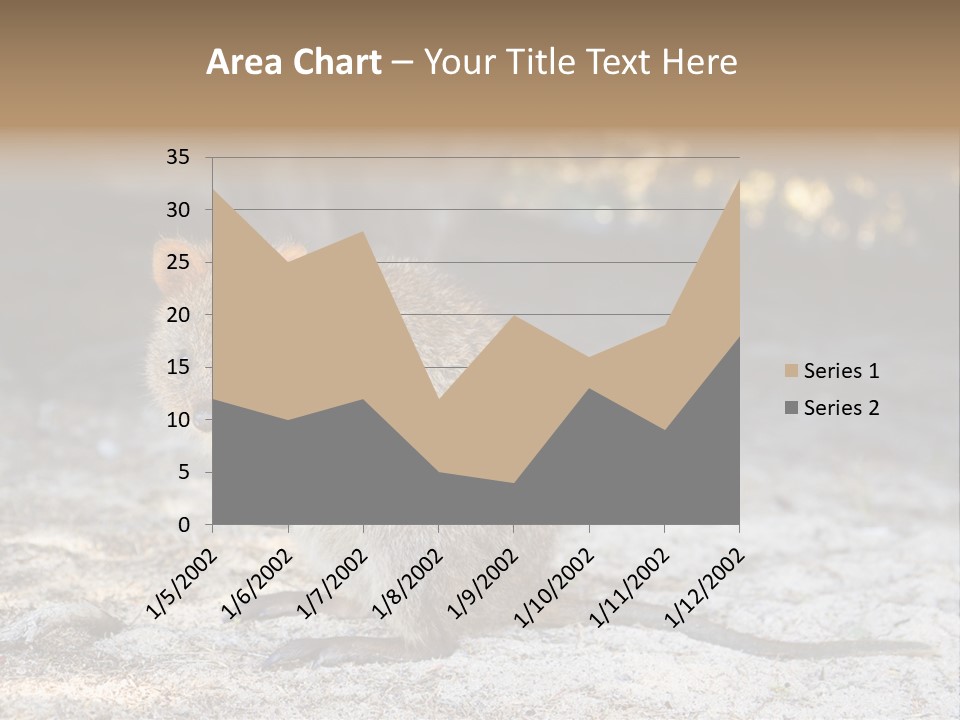 Setonix Brachyurus Small Western Australia PowerPoint Template