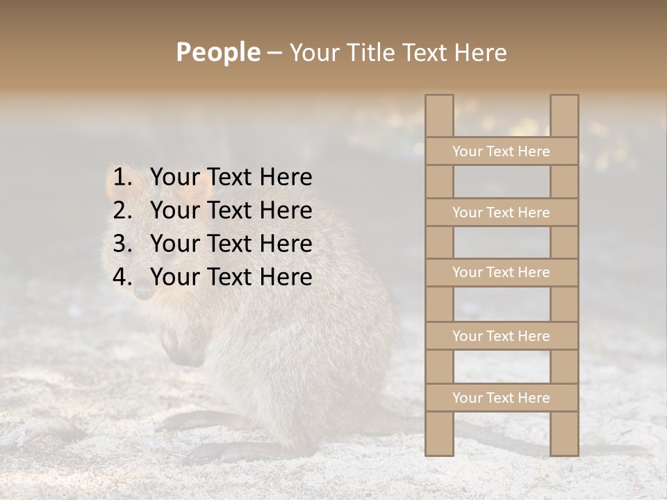 Setonix Brachyurus Small Western Australia PowerPoint Template